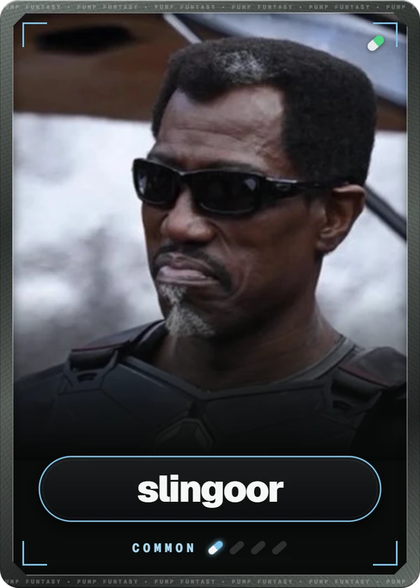 slingoor