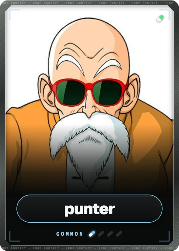 punter